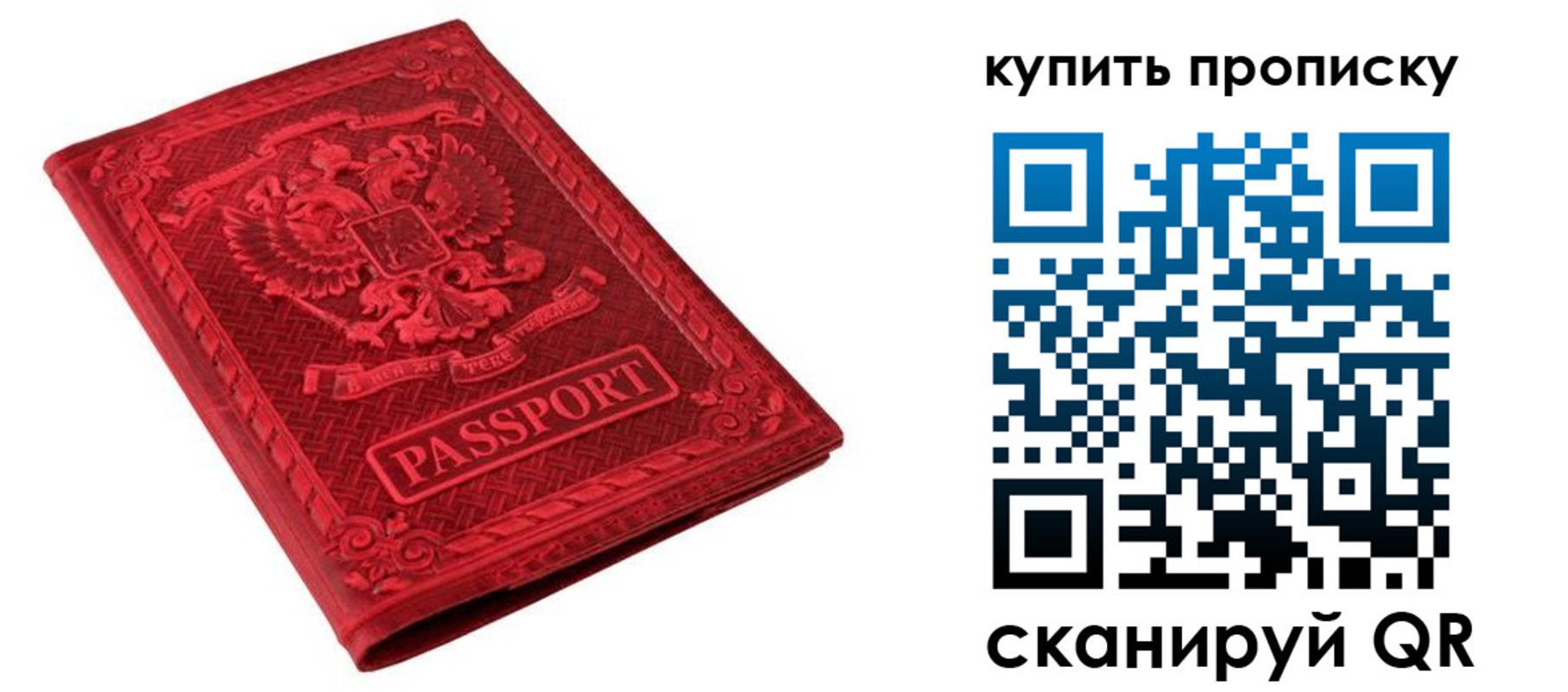 прописка в Зернограде